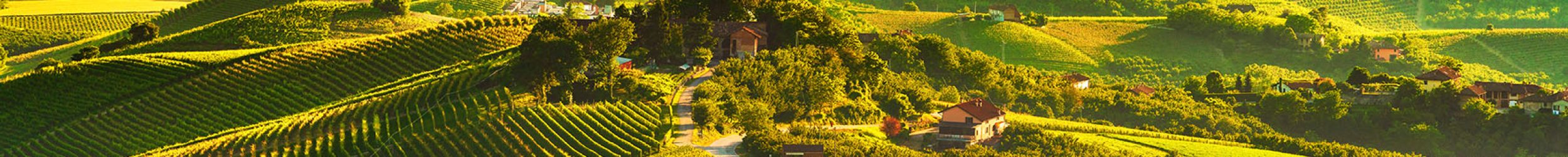 Langhe vineyards sunset panorama, Grinzane Cavour, Unesco Site, Piedmont, Northern Italy Europe.