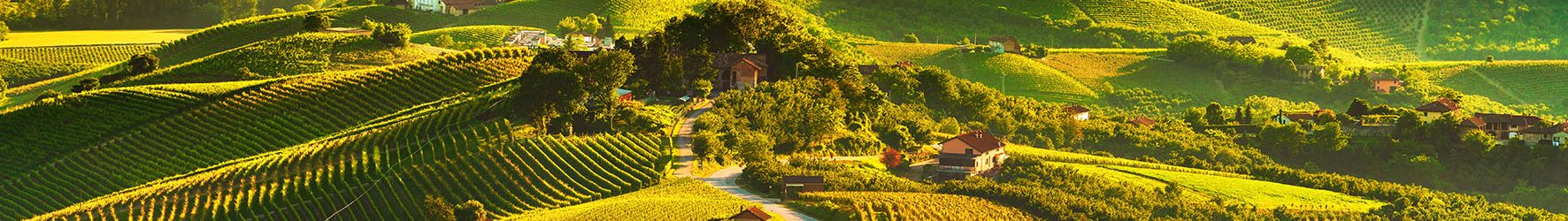 Langhe vineyards sunset panorama, Grinzane Cavour, Unesco Site, Piedmont, Northern Italy Europe.